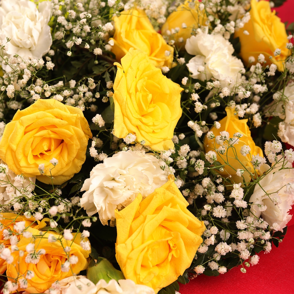 Graceful Carnation Arrangement | Cake2homes