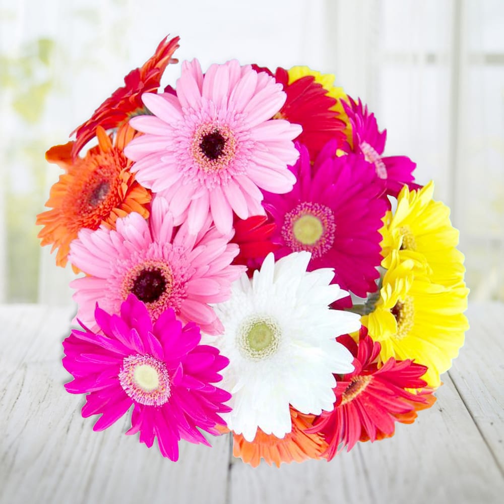 Sweet Wishes A Bunch Of Multicolored Gerbera Flowers | Cake2homes
