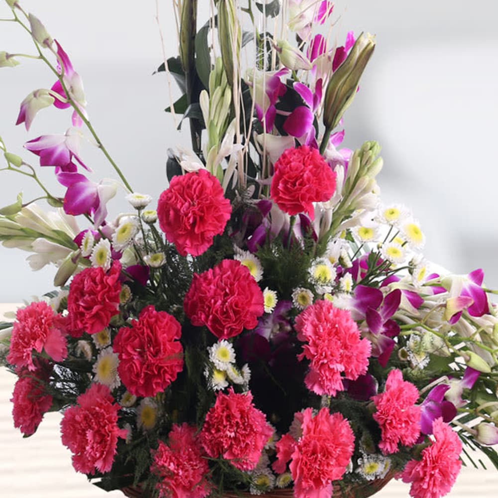 Exotic Aura | Cake2homes