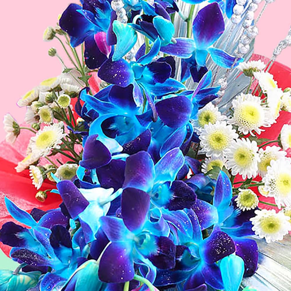 Paradise Of Happiness | Cake2homes