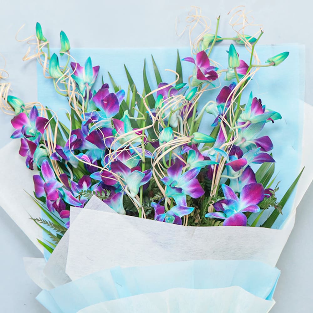 Ravishing Blue Orchids Combo | Cake2homes