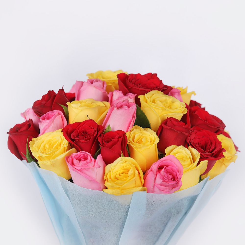 Mixed Rose Garden | Cake2homes