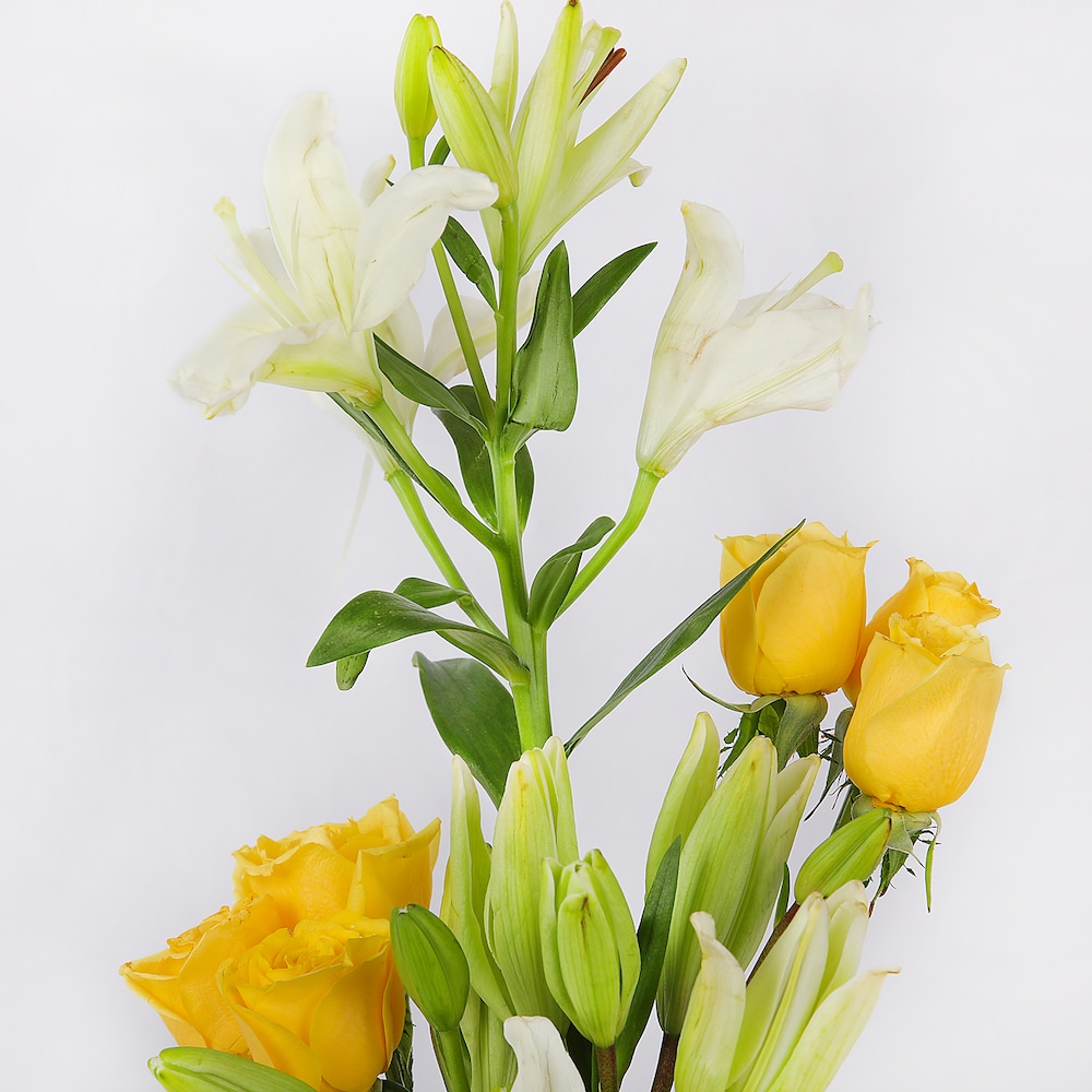 Peaceful Beauty | Cake2homes