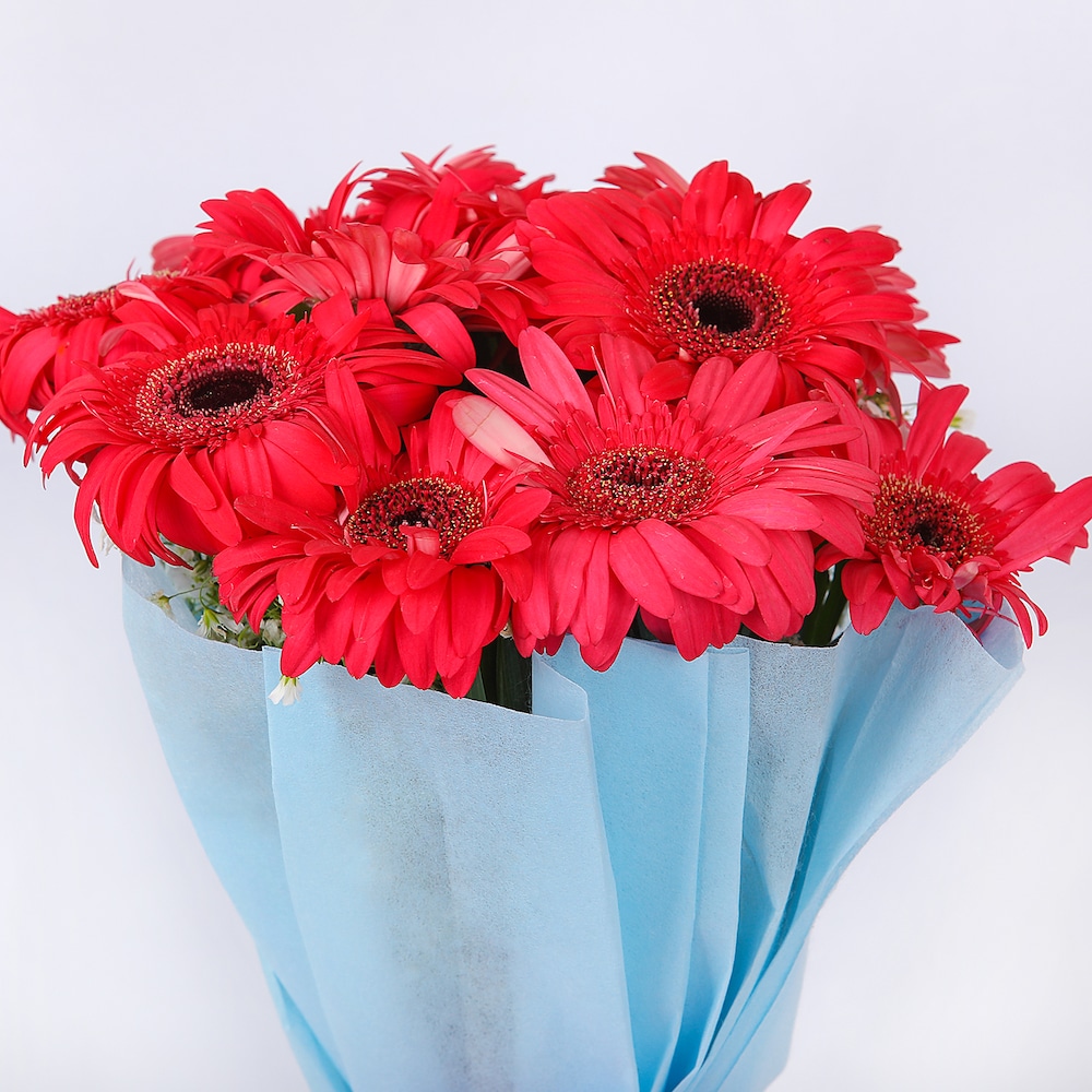 Bundle Of Joys | Cake2homes