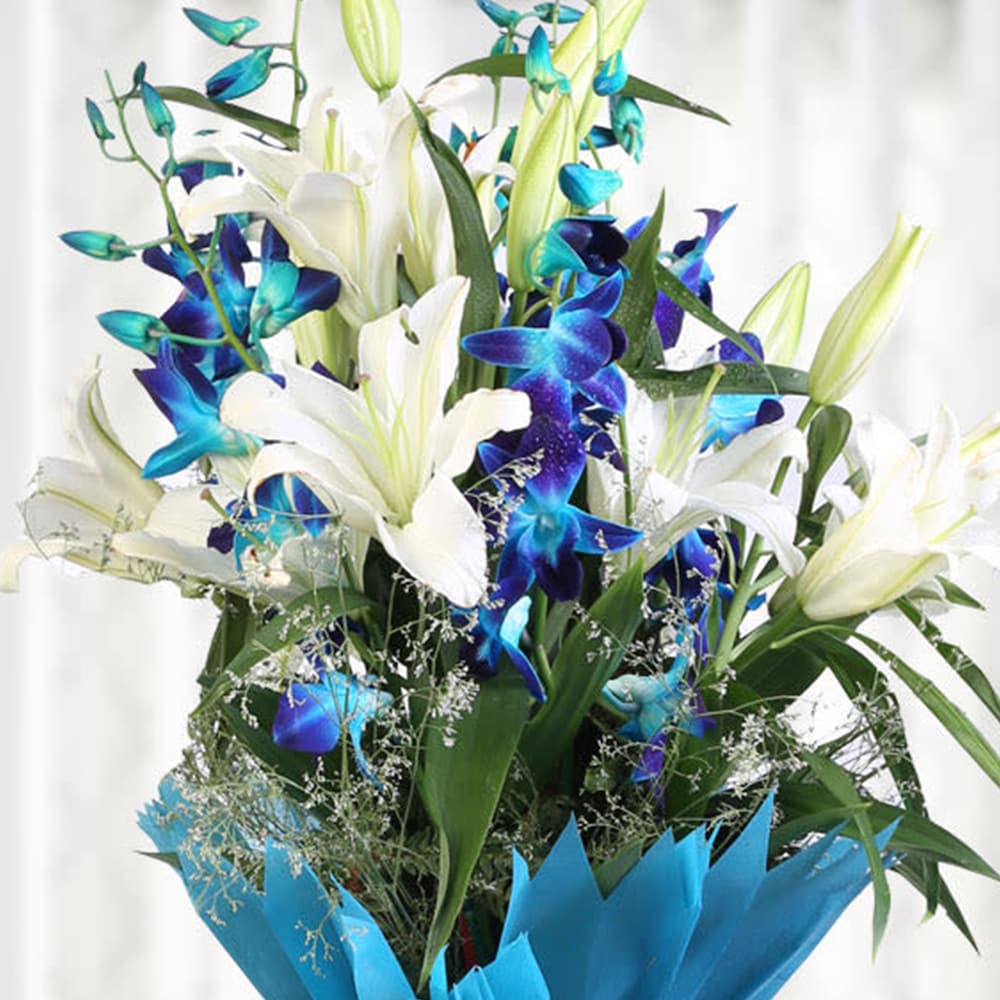 Pristine Moments | Cake2homes