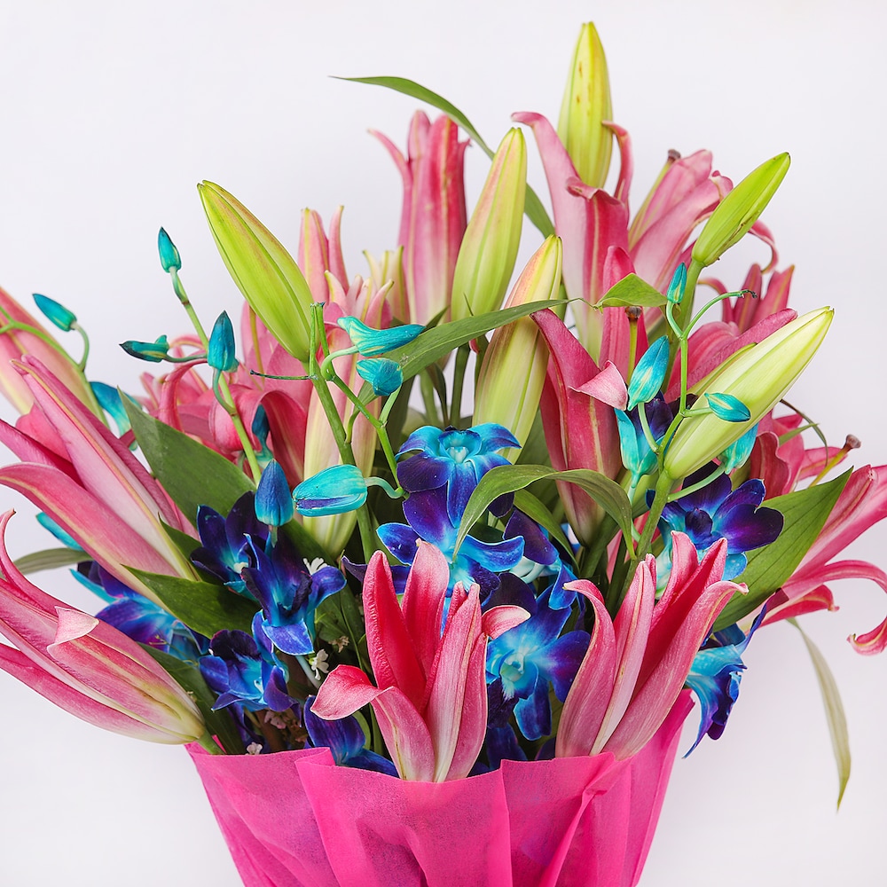 Let The Magic Begin | Cake2homes