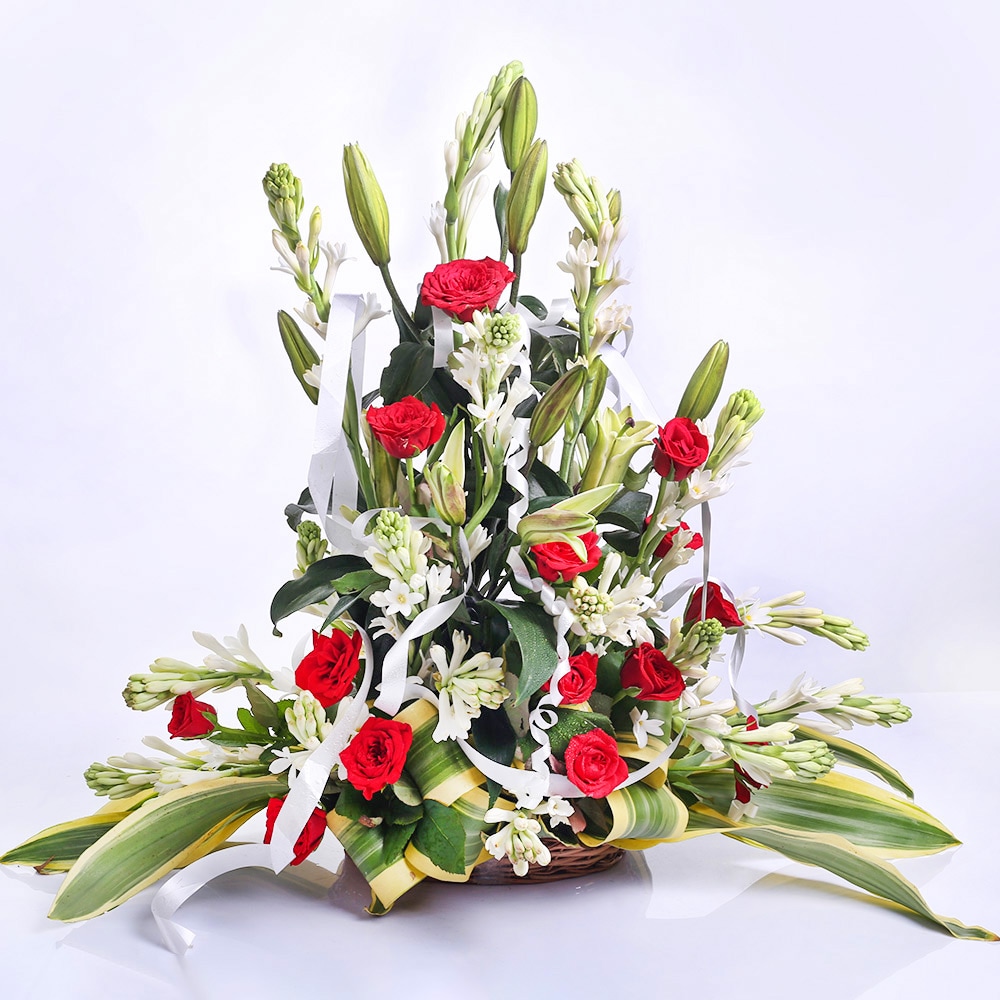 True Modesty | Cake2homes