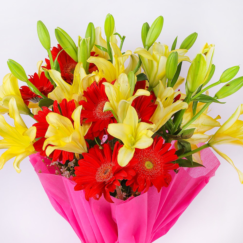 Choice Of Nature | Cake2homes