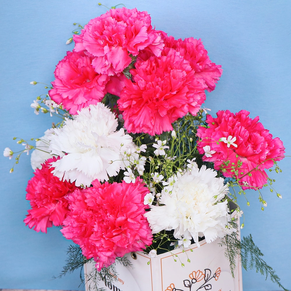 Amusing Love | Cake2homes