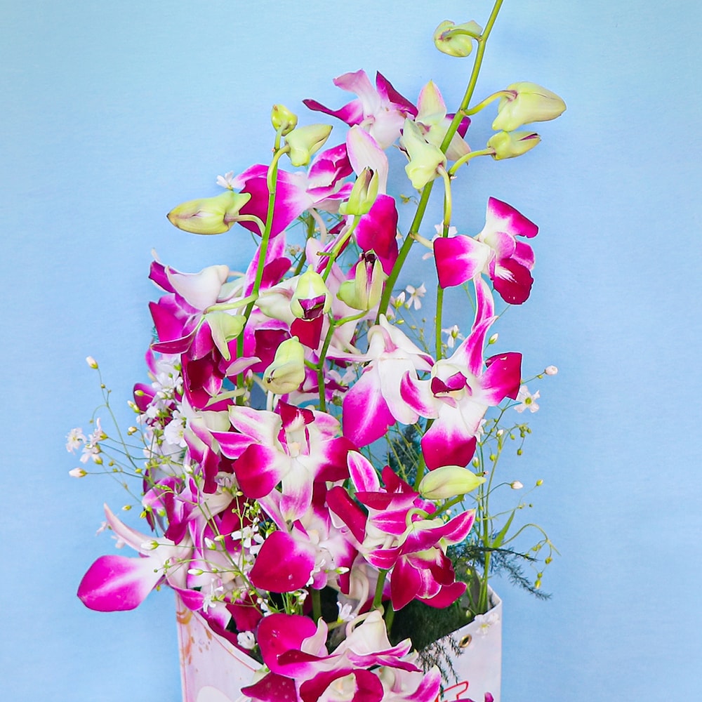 Box Aromatic Love | Cake2homes