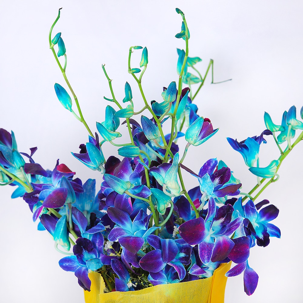 Elegantly Blue | Cake2homes