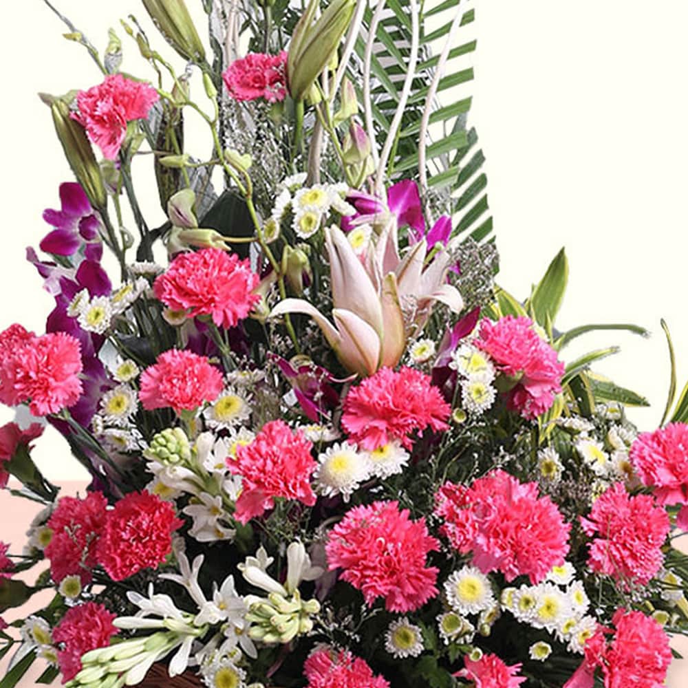 Lush Of Love | Cake2homes