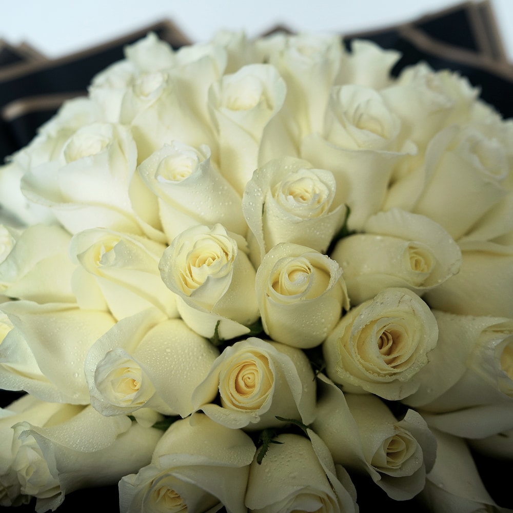 Pure Peaceful White Roses | Cake2homes