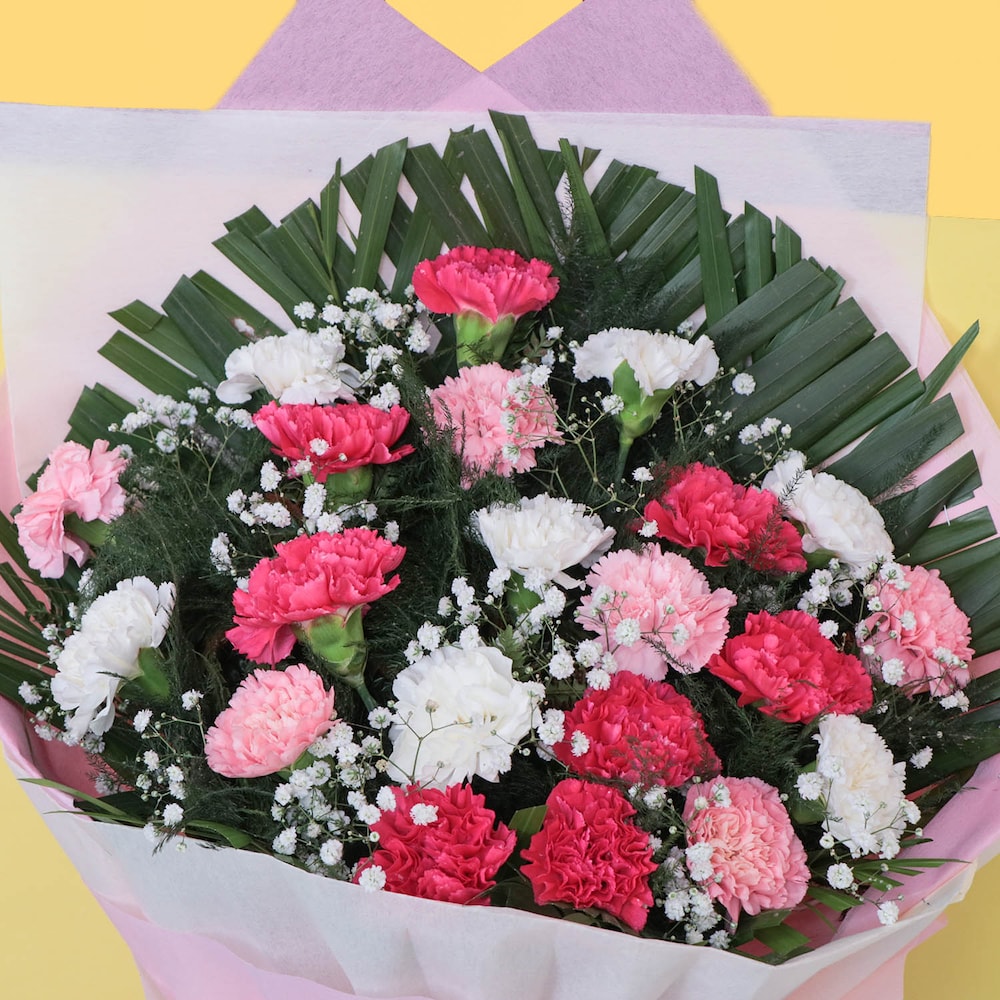 Mix Elegance Carnation Bouquet | Cake2homes