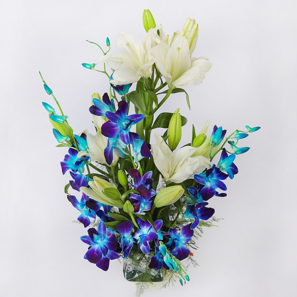 Smile Of Lilles | Cake2homes