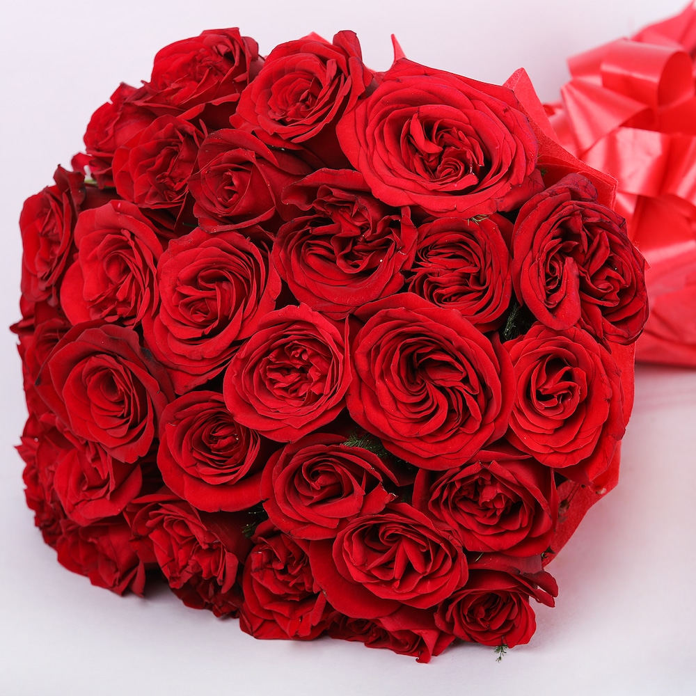 Weather Of Bloom | Cake2homes