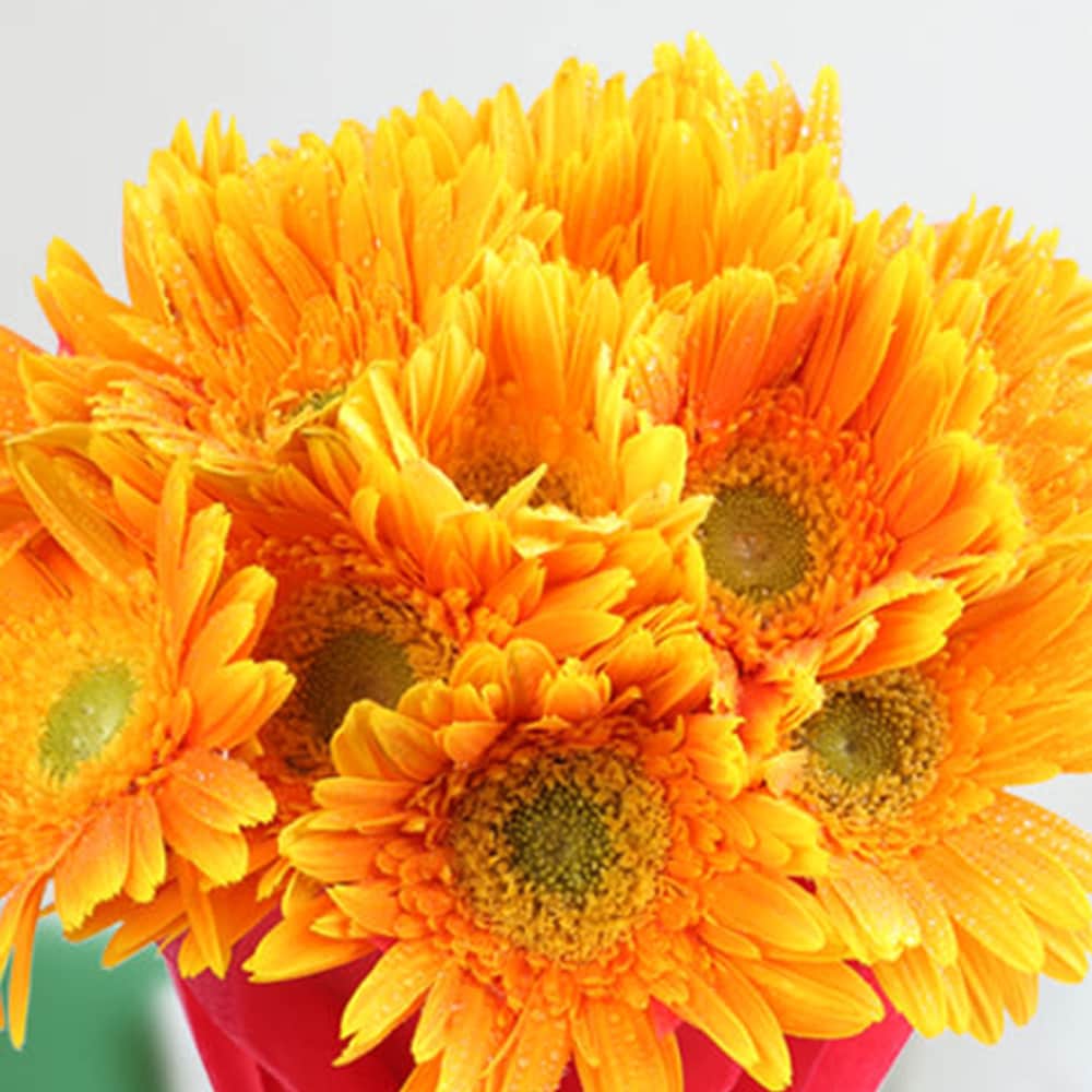 Sunny Delight | Cake2homes