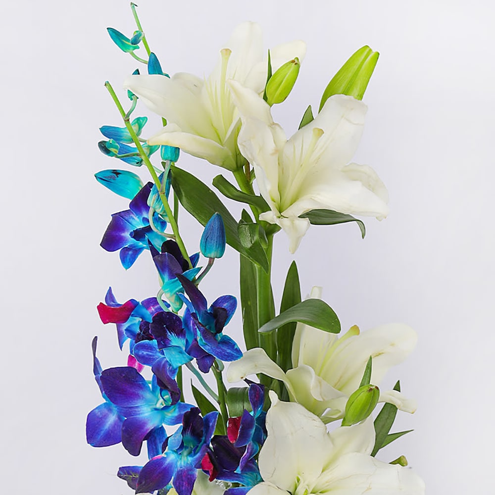 Purity Of Bliss | Cake2homes