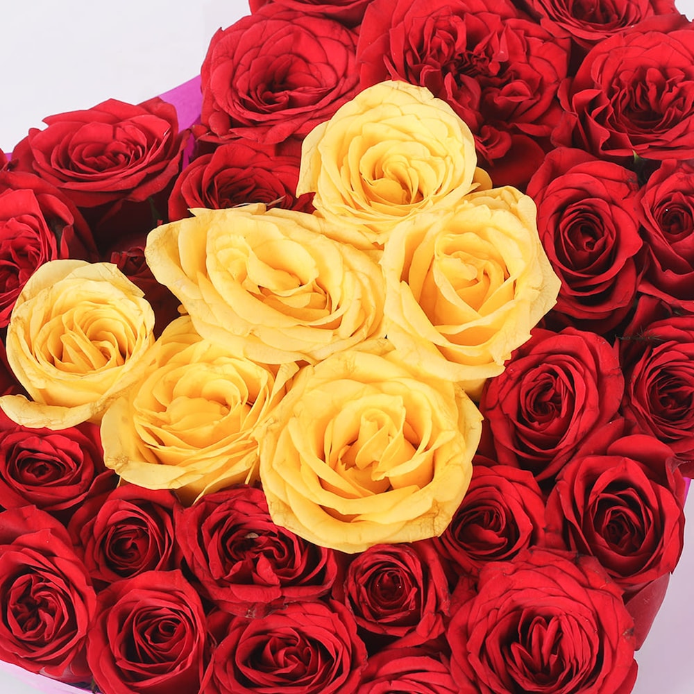 Weather Of Love | Cake2homes