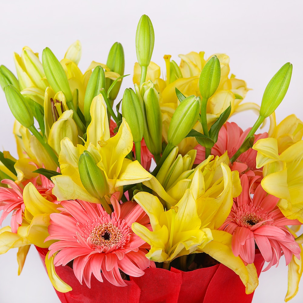 Inherent Gerberas | Cake2homes