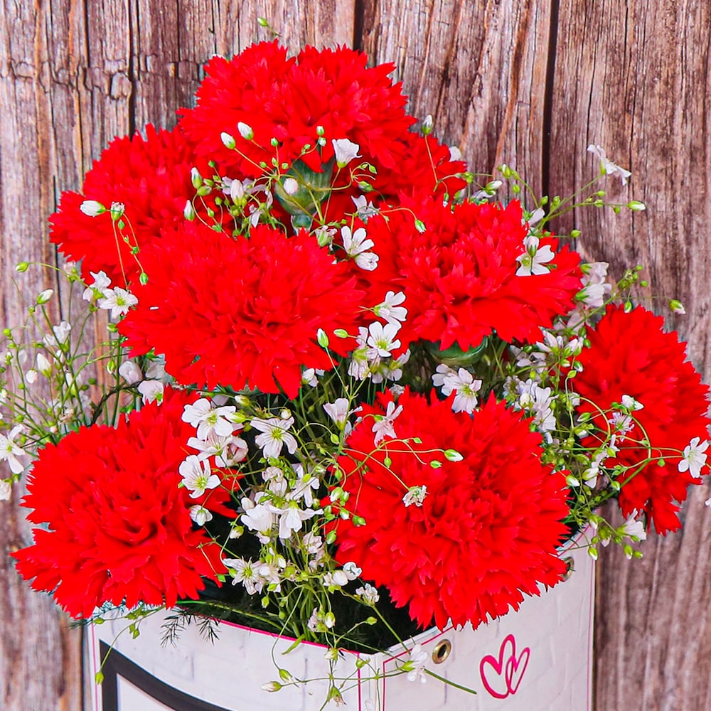 Intimacy With Love | Cake2homes