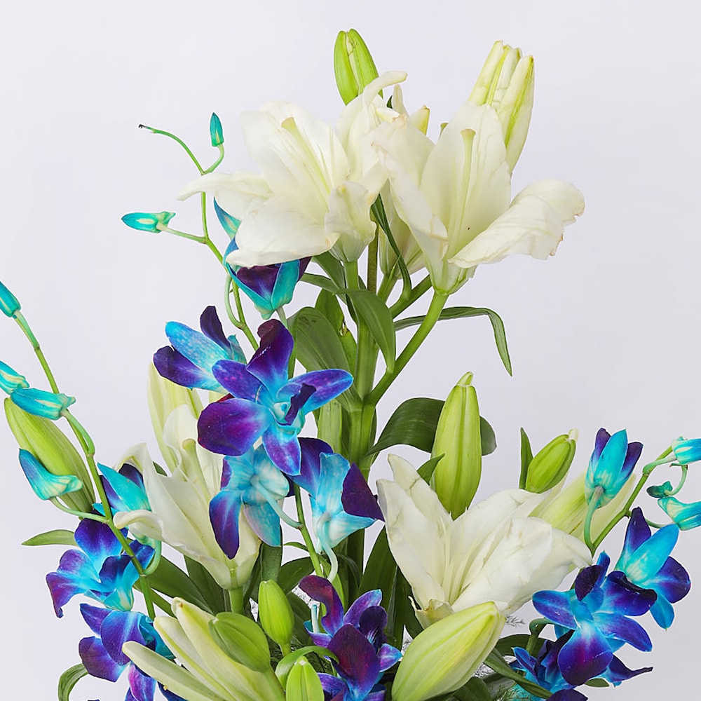 Energetic Blooms | Cake2homes