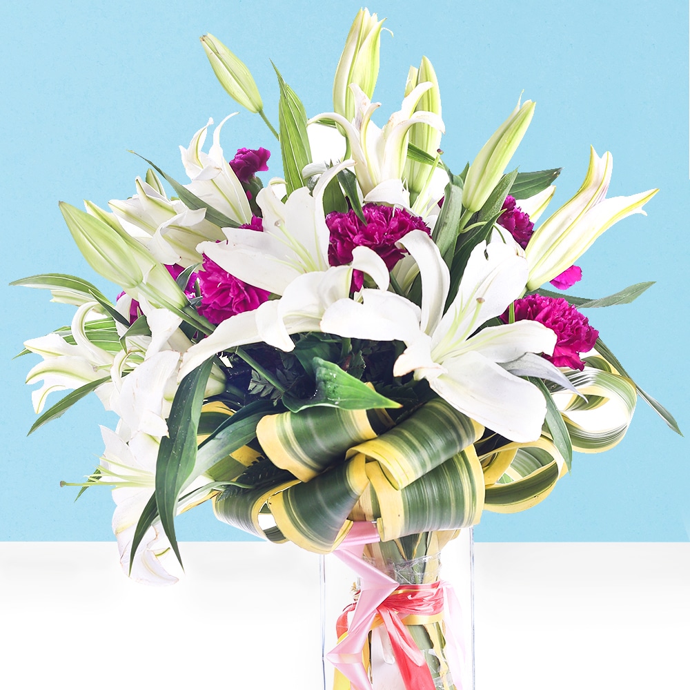 Acoustic Beauty | Cake2homes