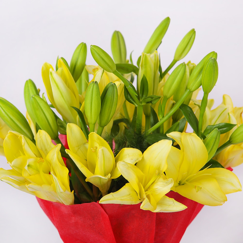 Jazzy Love | Cake2homes