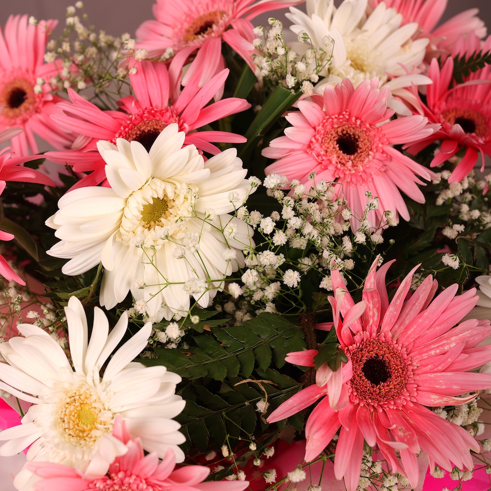 Blooming Pink Gerbera | Cake2homes