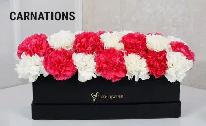 Carnations