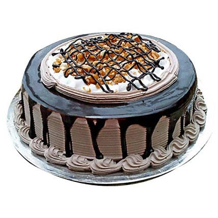 Chocolate Nova Cake Chocolate Nova Cake