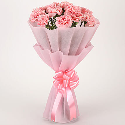 Pretty Pink Carnations Bouquet