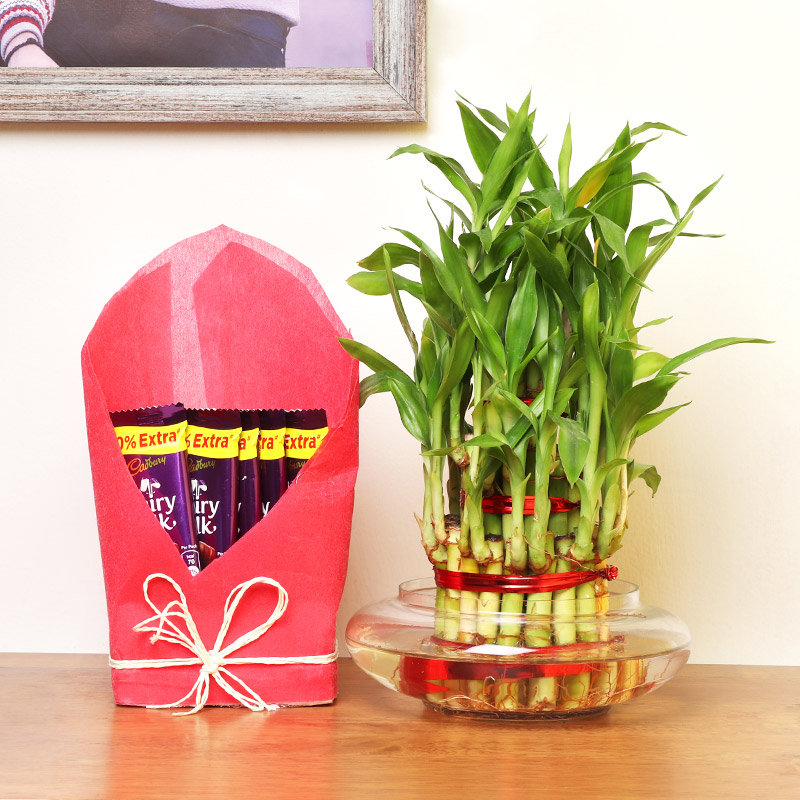 3 Layer Bamboo Gratification 3 Layer Bamboo Gratification