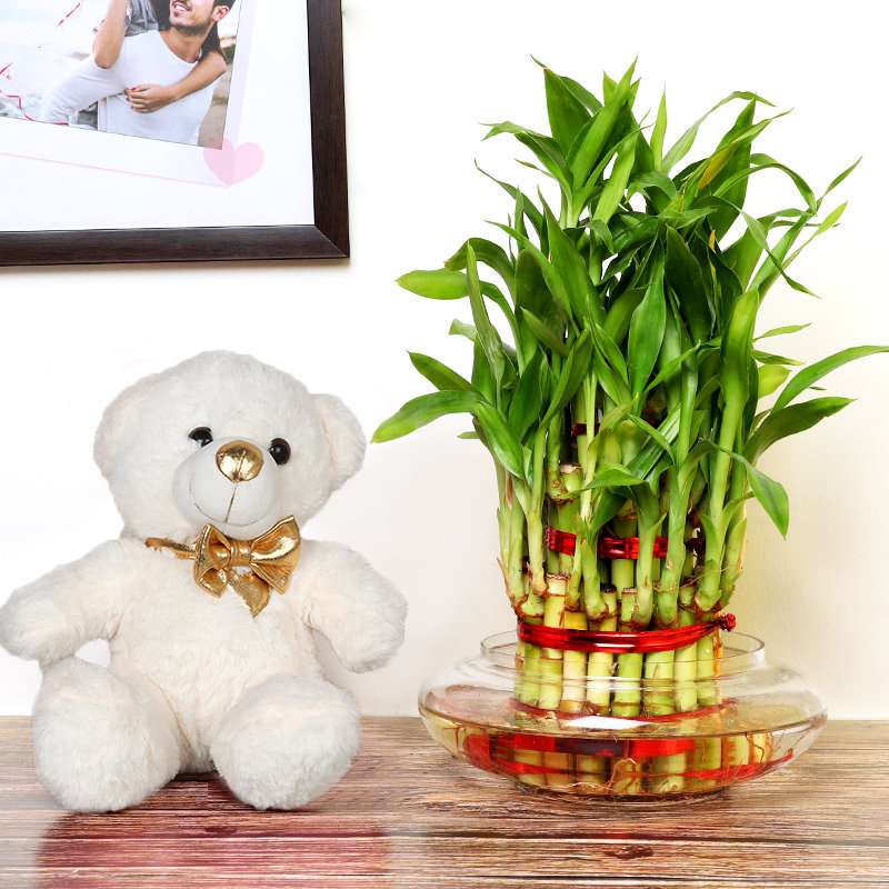 Three Layer Bamboo Cuddly Combo