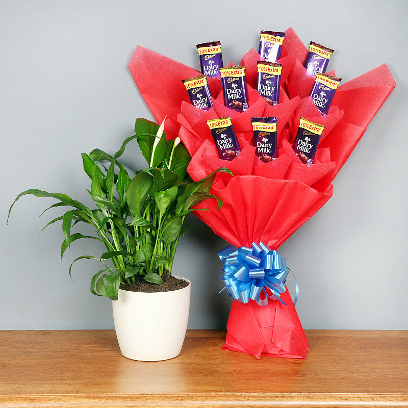 Passionate Peace Lily Combo