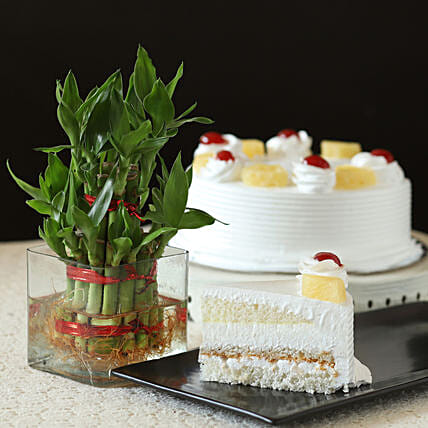 Pineapple Cake N Lucky Bamboo