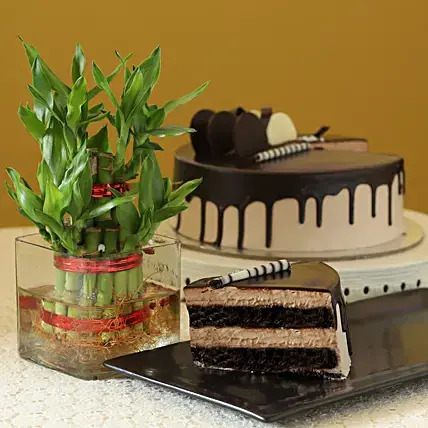 2 Layer Bamboo & Eggless Chocolate Cake 2 Layer Bamboo & Eggless Chocolate Cake
