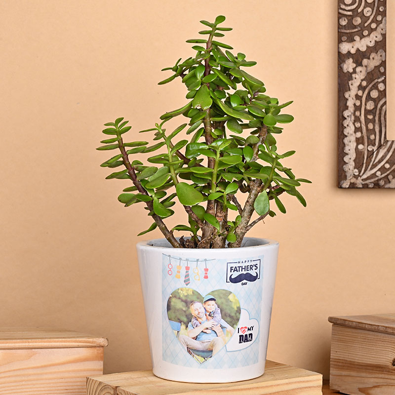 Jade Plant In A Personalized Vase