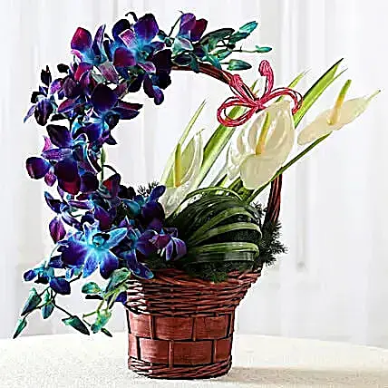 Basket of Blue Orchids & Anthuriums