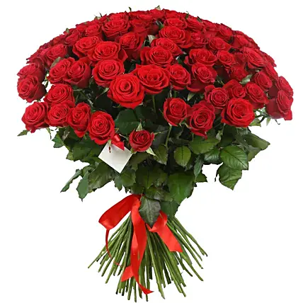 Scarlet Rose Fantasy Bouquet