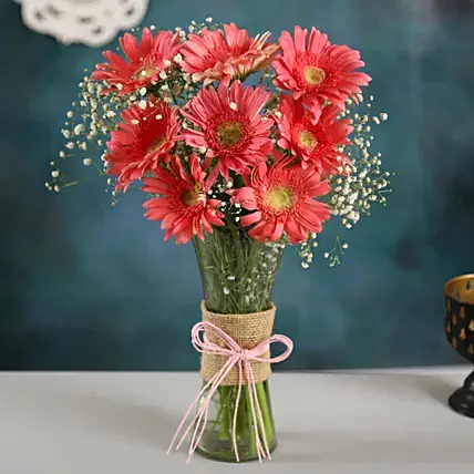 Beautiful Pink Gerberas Vase Beautiful Pink Gerberas Vase