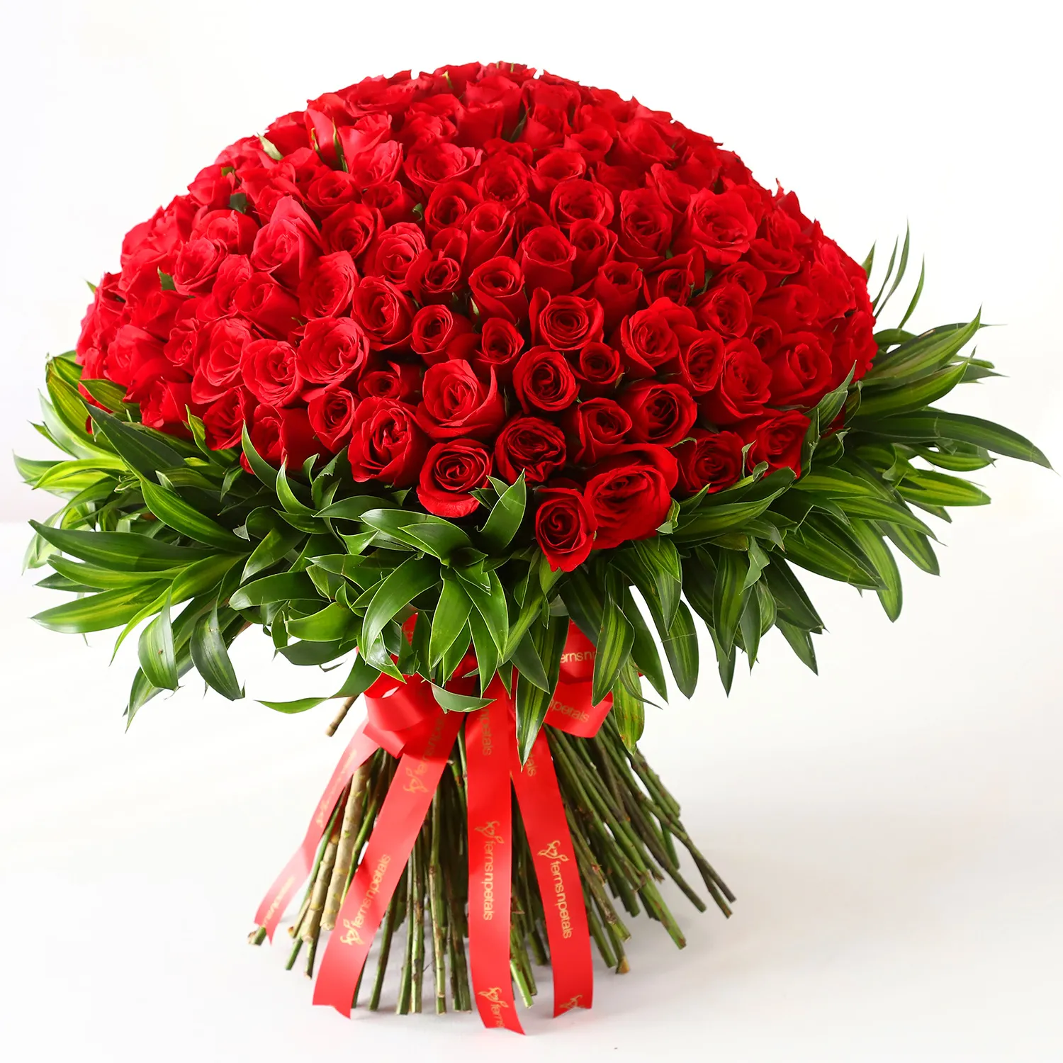 Forever Love 200 Red Roses Beautifully Tied Bunch