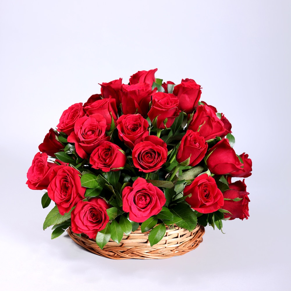 Red Roses Love Red Roses Love