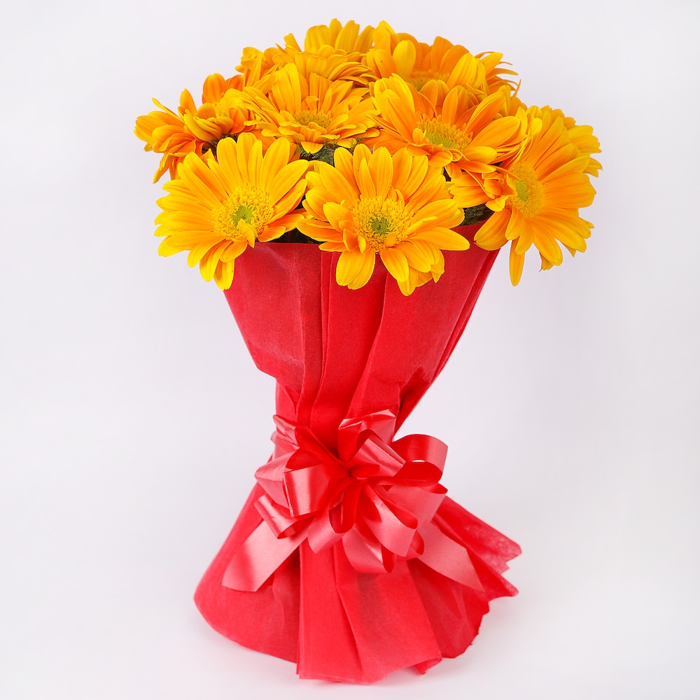 Happy Splashy Gerberas Happy Splashy Gerberas