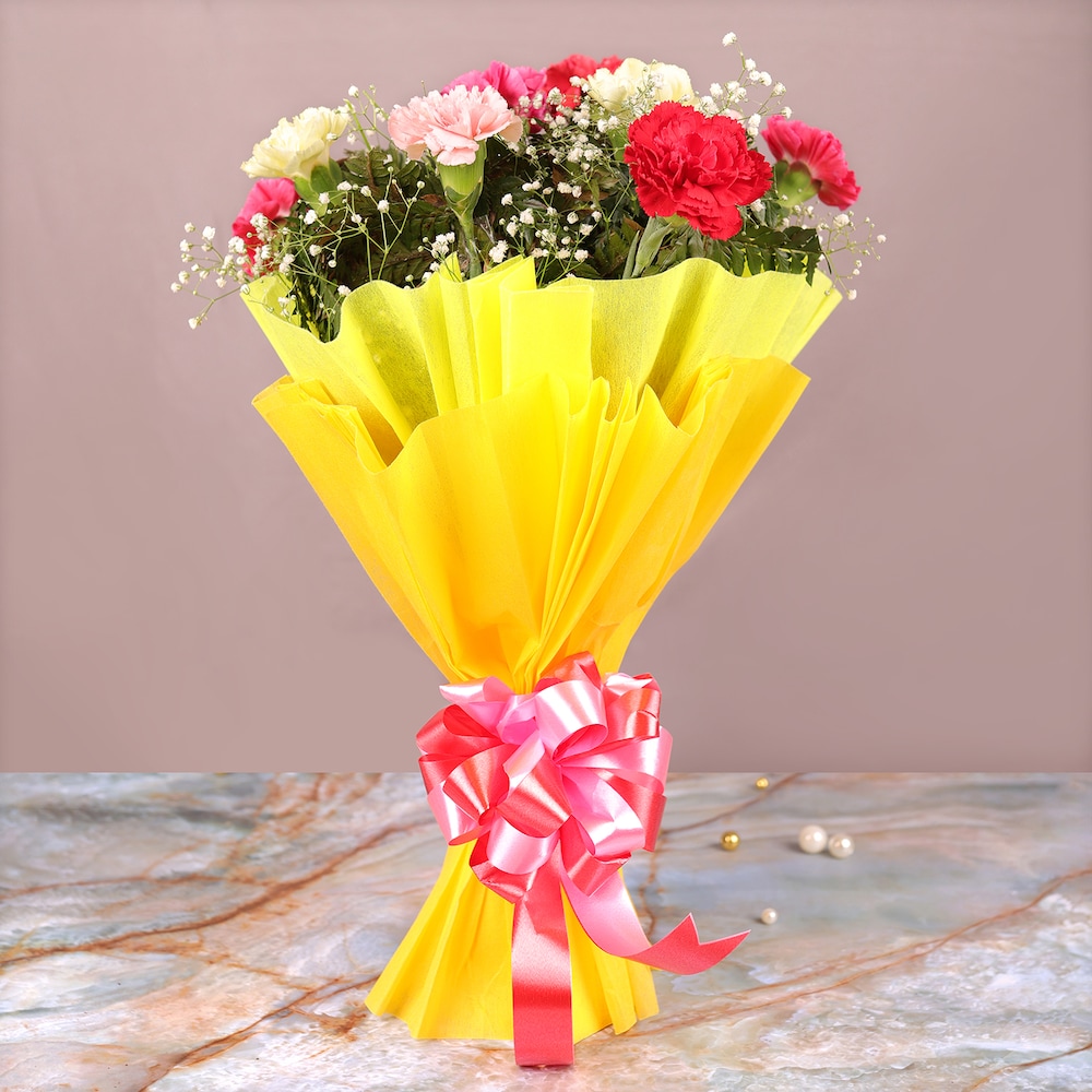 Mesmerising Mix Carnation