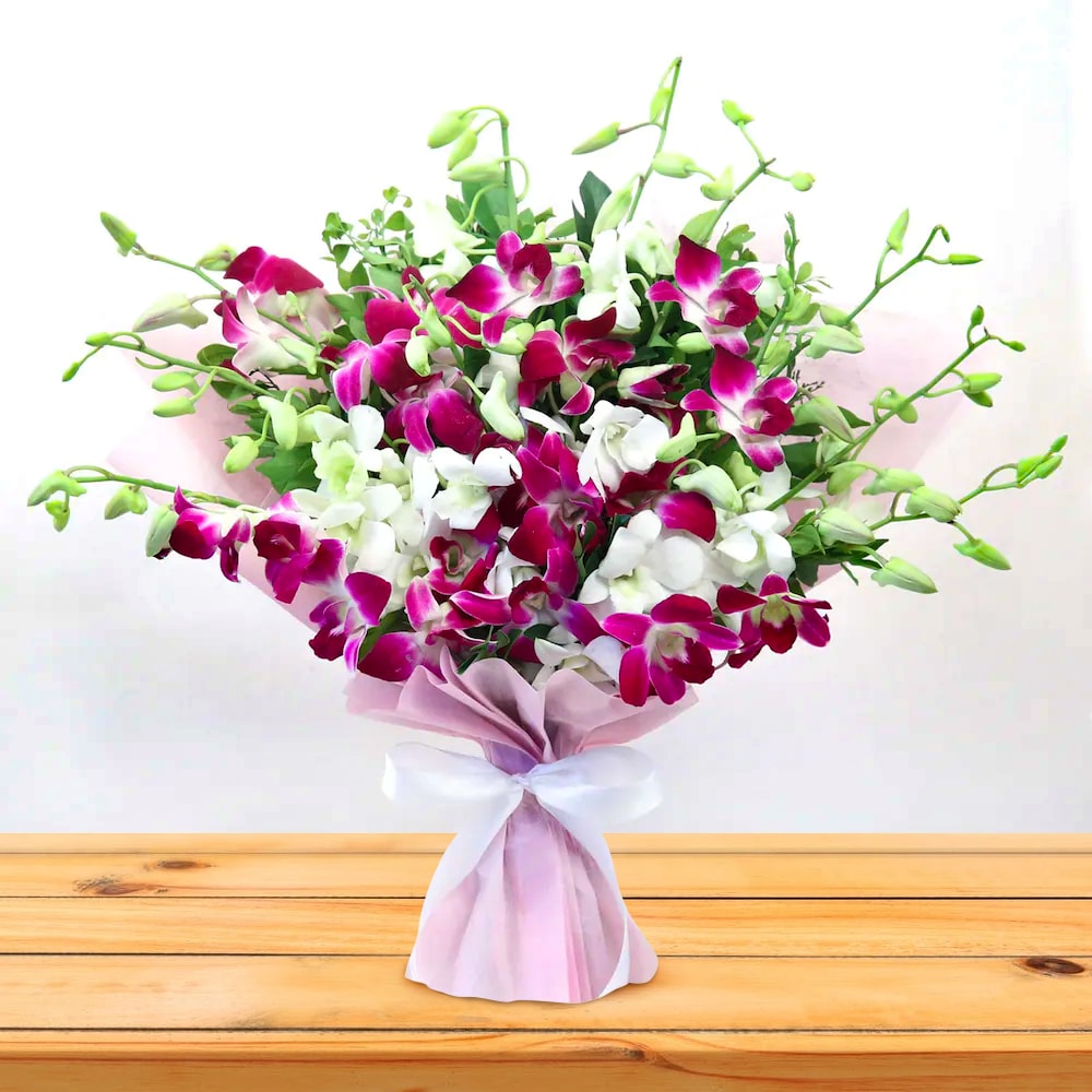 Mesmerizing Lovely Orchid