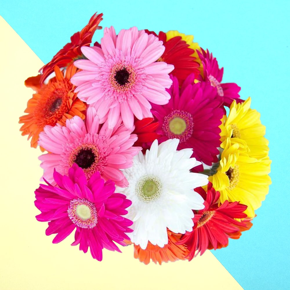 Sweet Wishes A Bunch Of Multicolored Gerbera Flowers Sweet Wishes A Bunch Of Multicolored Gerbera Flowers